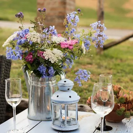 La Ca Vecia Bed and Breakfast Langhirano