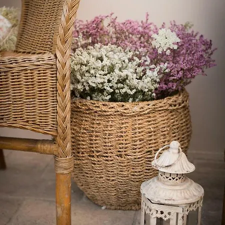 La Ca Vecia Langhirano