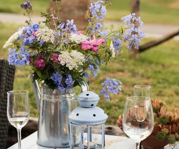 La Ca Vecia Bed & Breakfast Langhirano