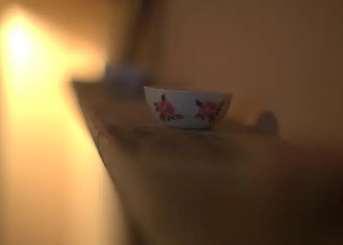 Bed & Breakfast La Ca Vecia Langhirano